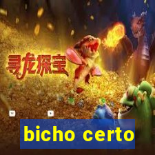 bicho certo